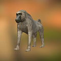 Lifelike 3D Baboon Model Standing With Realistic Fur In Natural Background