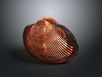 Organ And Hair Related Structure With Brown Shell Striped Surface 3d model