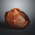 Organ And Hair Related Structure With Brown Shell Striped Surface