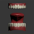 3D Dental Model Showing Upper Lower Jaw With Red White Teeth Structure
