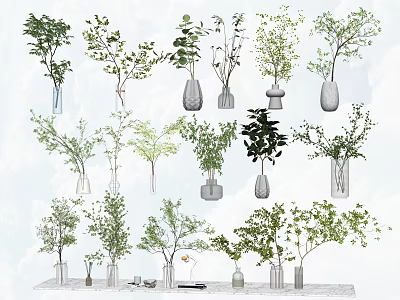 Collection of Flower Vases with Green Plants and Branches for Home Decor 3d model