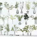 Collection of Flower Vases with Green Plants and Branches for Home Decor