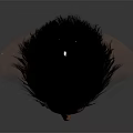 Game and Movie Character With Black Spiky Hair Facial Beard Transparent Shoulder Model 3D Render