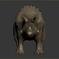 Realistic Triceratops Dinosaur Model With Detailed Skin Texture And Standing Pose