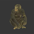 Realistic Chimpanzee Model Sitting Crouched With Detailed Features On Gray Background 3d model