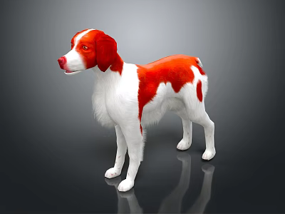 3D Rendered Red and White Dog Standing on Dark Background with Reflection 3d model
