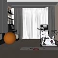 Modern Home Entertainment Room With Fireplace Orange Exercise Ball Exercise Bike Mirror Curtains And Bookshelf