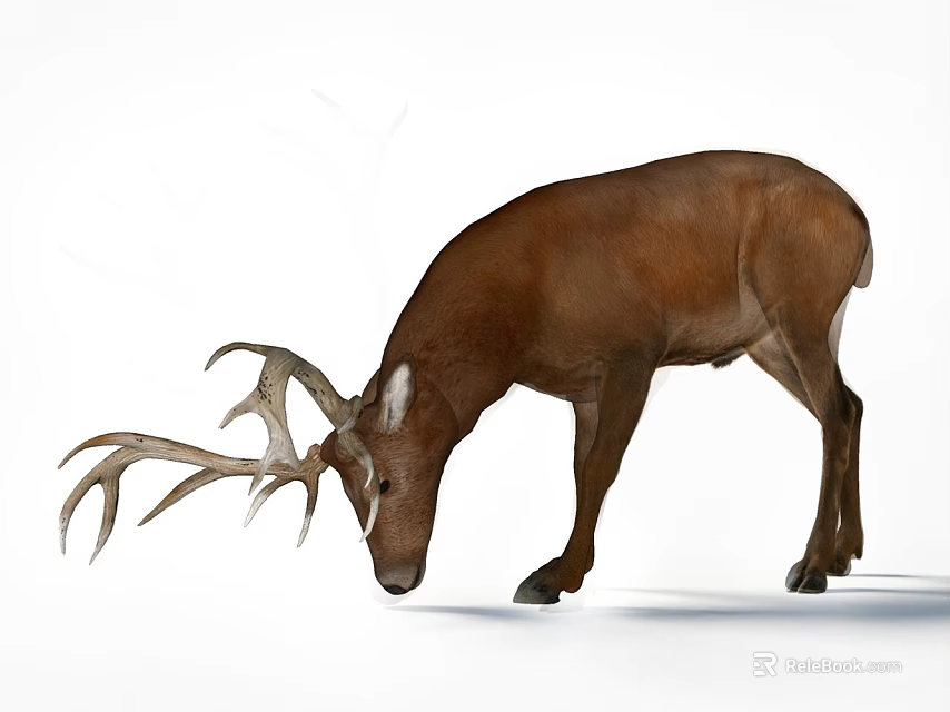 Brown Deer Ornamental Decoration Set With Large Antlers And Lifelike Design 3d model 