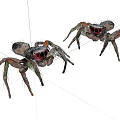 Two Colorful Reptiles With Detailed Legs And Red Eyes On White Surface
