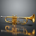 Golden Metallic Trumpet Displayed On Dark Background With Smooth Reflection
