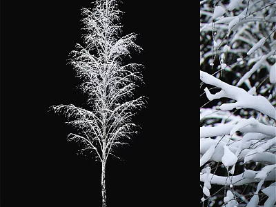 Winter Themed Decorative Ornament Set with Snow Covered Tree and Branches 3d model