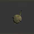 Spiky Round Pufferfish With Golden Green Body And Fins On Dark Background
