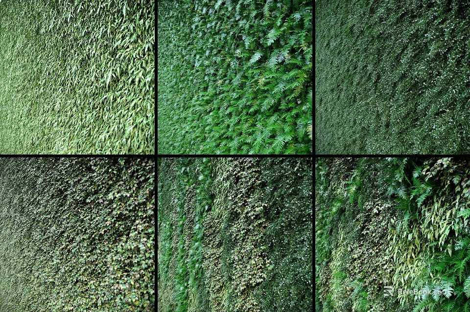Living Plant Wall With Diverse Greenery For Indoor Outdoor Vertical Decoration 3d model 