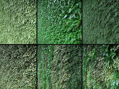 Living Plant Wall With Diverse Greenery For Indoor Outdoor Vertical Decoration 3d model