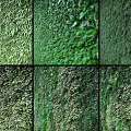 Living Plant Wall With Diverse Greenery For Indoor Outdoor Vertical Decoration