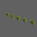 Five Green Shrubs In Different Forms For Landscape Display On Gray Background 3d model