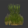 Various Types of Grass Clumps in Green and Brown for Landscaping Design Elements