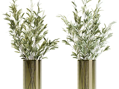 Lush Green Olive Branches In Two Decorative Gold Striped Vases 3d model