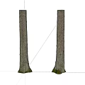 Stone Wood Tree Trunks With Surface Texture And Root Base On White Background With Shadows 3d model