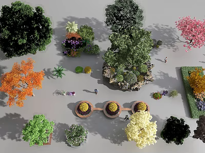 Diverse Ornamental Trees with Colorful Foliage in Garden Landscape and Mixed Plants 3d model