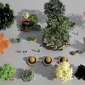 Diverse Ornamental Trees with Colorful Foliage in Garden Landscape and Mixed Plants