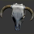 Cow Skull With Curved Horns Weathered White Surface On Gray Background