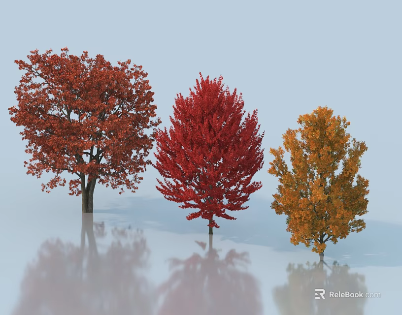 Three Deciduous Arbor Trees With Vibrant Red Orange Crimson Autumn Foliage 3d model 