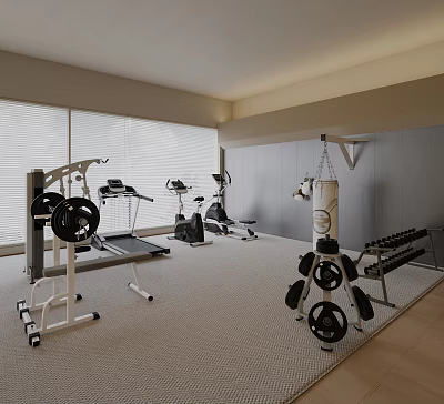 Modern Fitness Equipment Fitness Sports Equipment 3d model