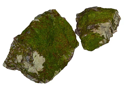 Natural Mossy Stones and Wood with Rough Textured Surface for Natural Decor 3d model