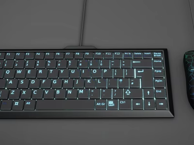 Sleek Backlit Computer Keyboard And Ergonomic Wired Mouse With Illuminated Keys 3d model