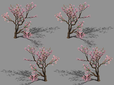 Vibrant Flowering Arbor With Pink Blossoms Branches And Ground Shadows 3d model