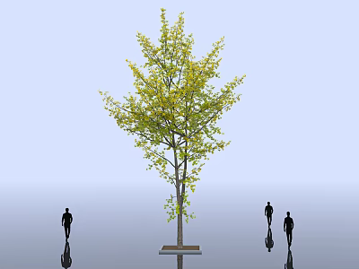 Tall Deciduous Tree With Green Leaves Standing In Open Space With Silhouette Figures 3d model