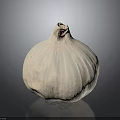 Fresh Whole Garlic Bulb With White Skin On Dark Background
