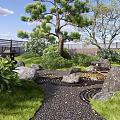 Japanese Courtyard Garden With Red Maple Trees Stones Green Lawn And Wooden House