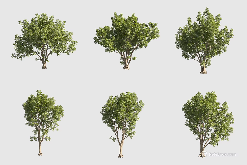 Multiple Arbor 3D Models with Green Foliage and Brown Trunk on 3d model 