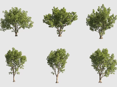 Multiple Arbor 3D Models with Green Foliage and Brown Trunk on 3d model