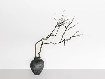 Bonsai Plant with Twiggy Branches in Black Ceramic Vase on Light Tabletop Against White Wall 3d model