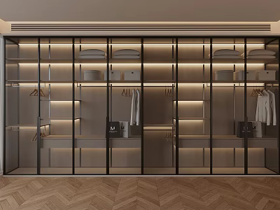 Modern Wardrobe Interior Design With Glass Door Layered Shelves Hanging Rails And LED Lighting 3d model