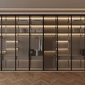 Modern Wardrobe Interior Design With Glass Door Layered Shelves Hanging Rails And LED Lighting