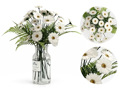 Transparent Glass Vase With White Daisies And Green Ferns Decorative Arrangement 3d model