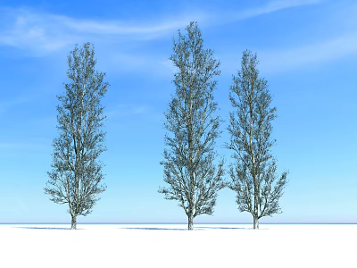 The Modern Tree 3d model The Modern Tree 3d model