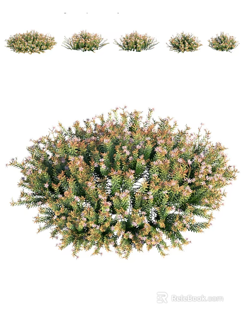 Lush Dense Shrub With Green Foliage And Small Pink Flowers For Garden Landscaping 3d model 