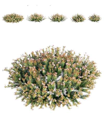 Modern shrubs foreign bushes 3d model