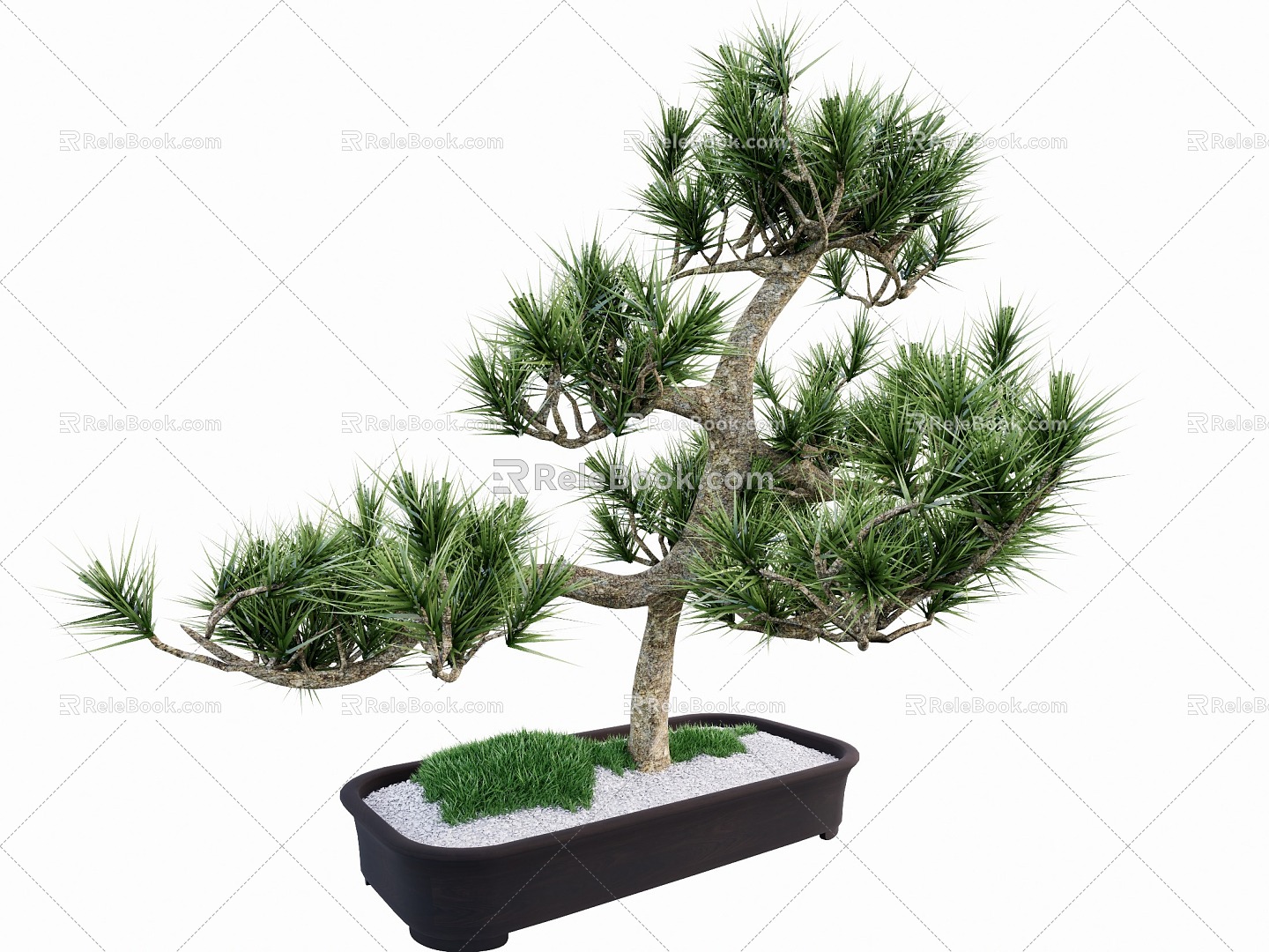 Indoor modeling tree potted plant 3d model