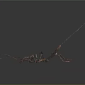 Dark Colored Scorpion With Long Tail Pincers And Legs On Black Background