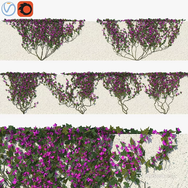 Purple Flower And Green Vine Ornamental Decoration Set For Wall Home Decor 3d model 