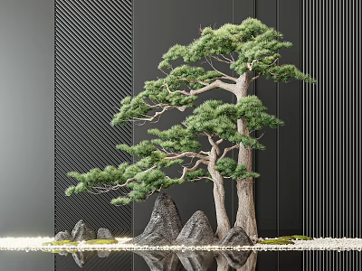 Artistic Garden Ornament With Bonsai Pine Tree Rock Formation Water Reflection And Vertical Striped Wall 3d model