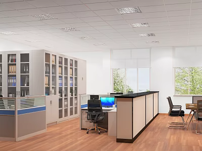 Modern Partitioned Office Interior With Desk Computer File Cabinets And Windows 3d model