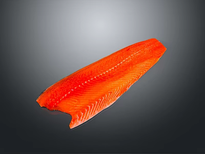 Fresh Raw Salmon Fillet with Vibrant Red Color and Distinct Texture on Gray Gradient Background 3d model