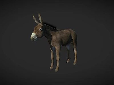 Realistic 3D Donkey Model With Brown And White Fur Standing On Dark Background 3d model